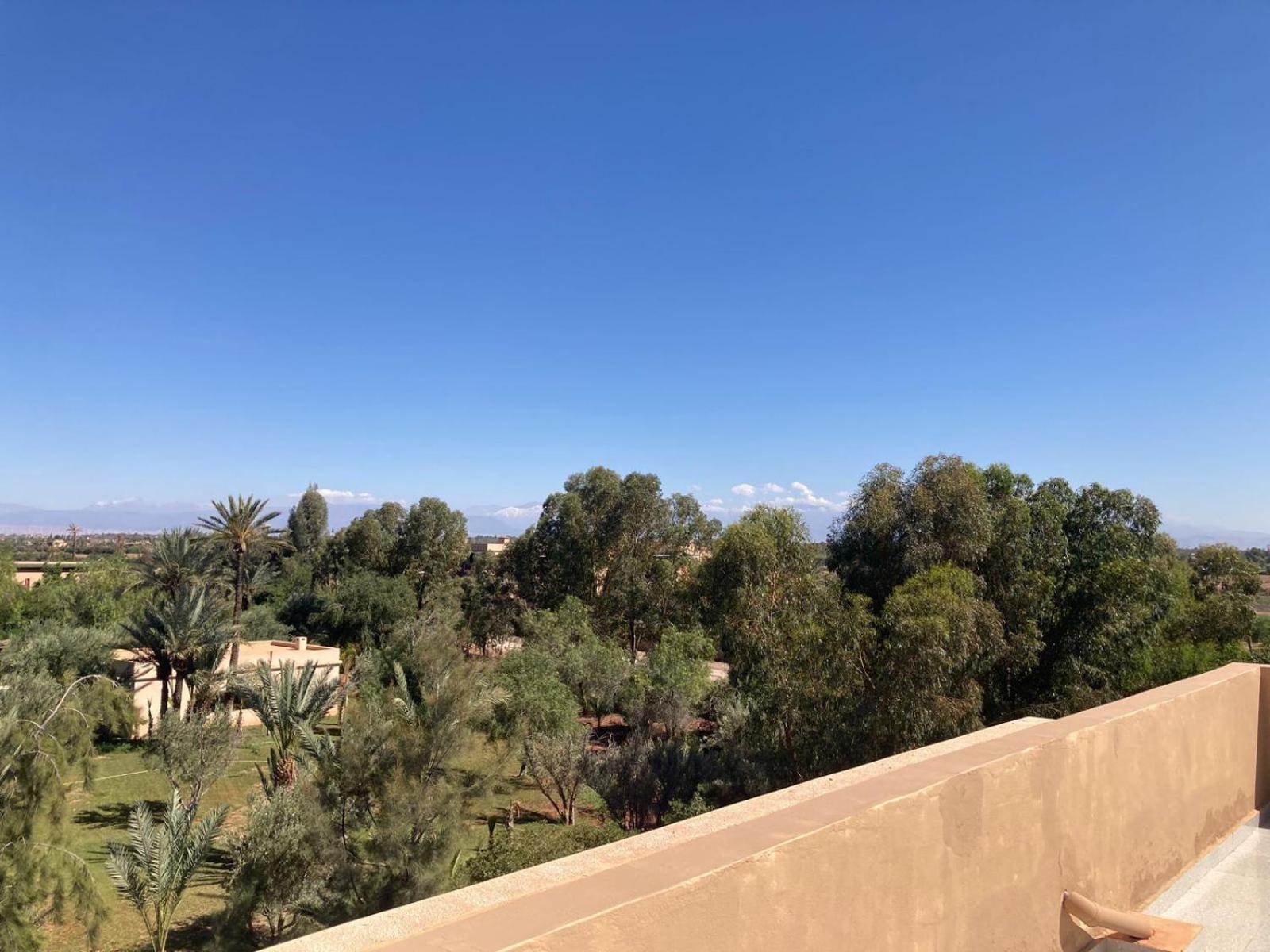 מרקש Family Palms Luxe Villa Marrakech With Private Pool חדר תמונה